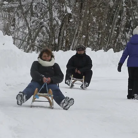 Lejlighed Andritsch *