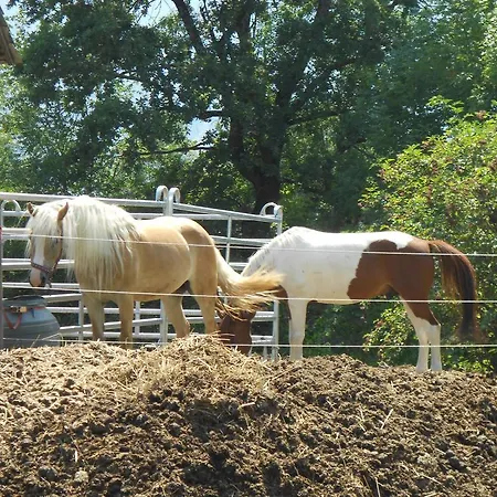 Appartement Andritsch Sankt Georgen im Gailtal
