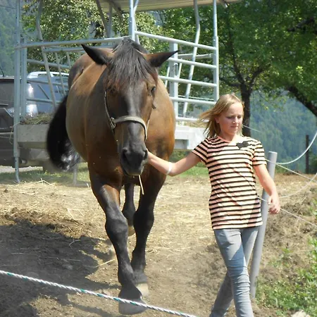 Andritsch Sankt Georgen im Gailtal