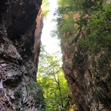 Andritsch Appartement *